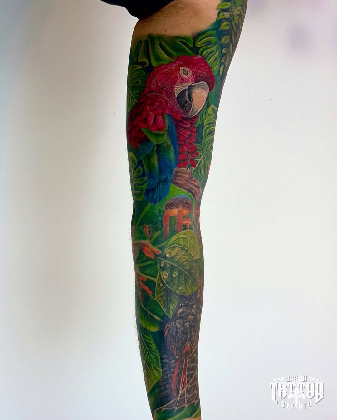 Jungle sleeve with macaw and snake — cover-up